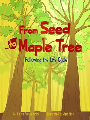 cover image of From Seed to Maple Tree